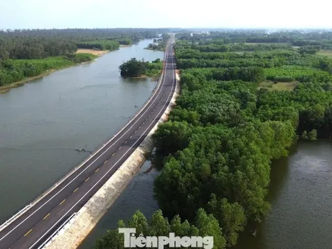 Ngắm cung đường ven biển băng qua rừng dương, cồn cát đẹp bậc nhất Quảng Ngãi