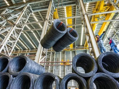 Đối tác của Vingroup có biến: Cổ đông lớn nhất muốn thoái bớt vốn sau cú tăng 200%, lý do gây bất ngờ