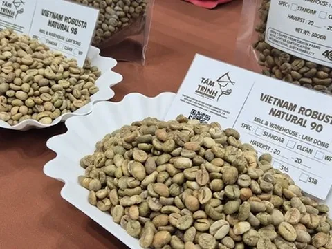 Giá cà phê hôm nay 16-1: Tăng 4 phiên liên tục, Robusta vượt mốc 4.000 USD/tấn