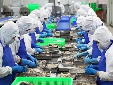 Lý do xuất khẩu thủy sản Việt Nam vượt 11 tỷ USD