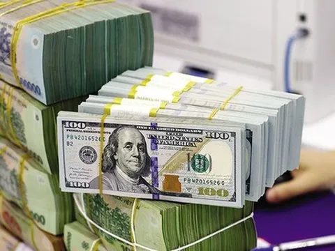 Cập nhật thị trường tiền tệ: Tỷ giá USD tự do giảm sâu, Ngân hàng Nhà nước hút về gần 30.000 tỷ đồng trong tuần qua