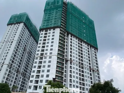 Phân khúc trụ cột của thị trường bất động sản 2026