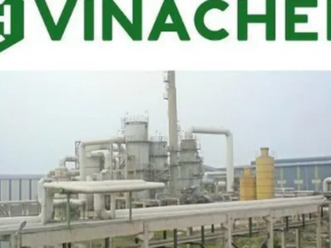 Dừng phiên đấu giá hơn 2 triệu cổ phần tại Vinachimex thuộc sở hữu Vinachem