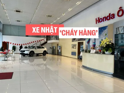 Xe Nhật 'cháy hàng' trước Tết: Người Việt mua ô tô giờ phải… xếp hàng chờ