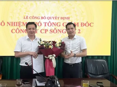 Phó Tổng Giám đốc Sông Đà 2 bị phạt vì lén mua 1,36 triệu cổ phiếu SD2