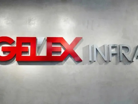 Thêm một đại diện "họ" GELEX chính thức nộp hồ sơ niêm yết 890 triệu cổ phiếu lên HOSE