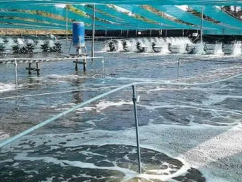 Không phải đất hiếm, Mỹ, Trung Quốc đang đua nhau săn một kho báu của Việt Nam: Nước ta là ông lớn đứng thứ 3 thế giới, xuất khẩu lập đỉnh 4,5 tỷ USD