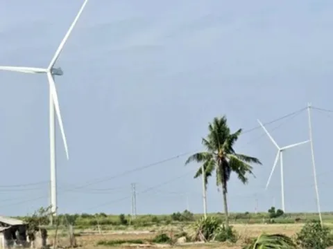 Nhiều doanh nghiệp muốn đầu tư hàng loạt dự án điện gió ở Cần Thơ