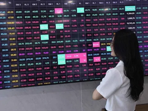 Chứng khoán giảm điểm, nhóm ngành nào có triển vọng đầu tư?