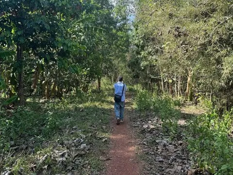 Chấp thuận nhà đầu tư đề xuất dự án đường kết nối từ cầu Mã Đà với Vành đai 4 TPHCM