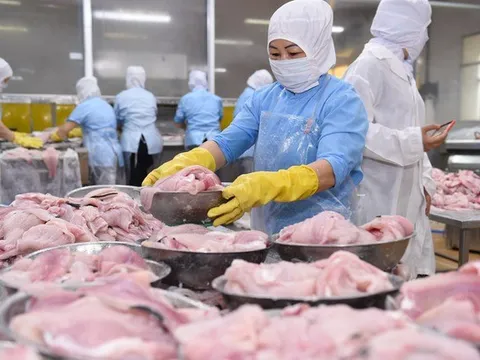 Tập đoàn PAN rút mạnh vốn khỏi kênh đầu tư chứng chỉ tiền gửi