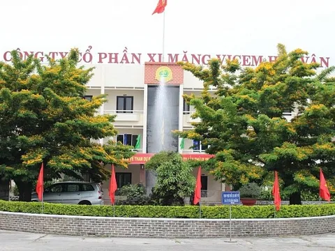 Xi măng Vicem Hải Vân thua lỗ 3 năm liên tiếp, cổ phiếu HVX bị hủy niêm yết