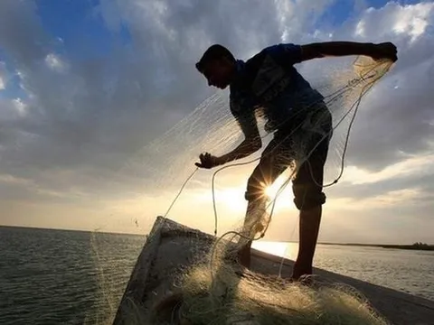 Chuyên gia chứng khoán: Dòng tiền vẫn luân chuyển tích cực, không thiếu cơ hội tìm kiếm lợi nhuận cho nhà đầu tư