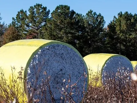 Việt Nam sở hữu 'mỏ vàng' gì mà thu gần 40 tỷ USD năm qua: Mỹ liên tục săn lùng, nước ta là ‘trùm’ đứng thứ 3 thế giới