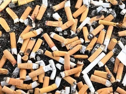 Phát minh của Trung Quốc làm rung chuyển ngành năng lượng: 'hồi sinh' tàn thuốc lá thành siêu tụ điện, sạc 10.000 lần vẫn giữ 95% hiệu suất