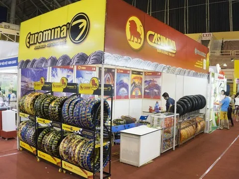 Quý IV lao dốc, Casumina không hoàn thành mục tiêu lợi nhuận năm 2025