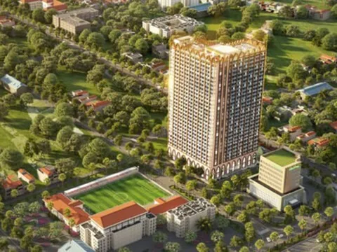 Cổ phiếu API vào diện bị kiểm soát, APEC Group nói gì?