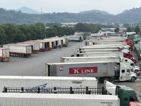 Thủ tướng chỉ đạo 'nóng' về thông quan hàng hóa