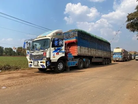 Công điện của Thủ tướng: Ban hành hướng dẫn Nghị định 46 ngay lập tức, báo cáo Chính phủ trước 4/2