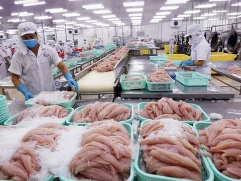 Ngành kinh tế tỷ đô của Việt Nam khởi sắc, Trung Quốc đóng vai trò then chốt