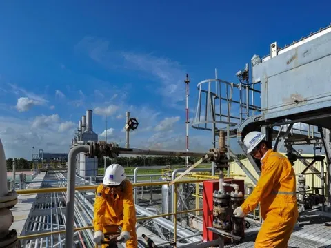 Kinh tế Nhà nước: Hình thành các ‘đầu tàu’ đủ mạnh