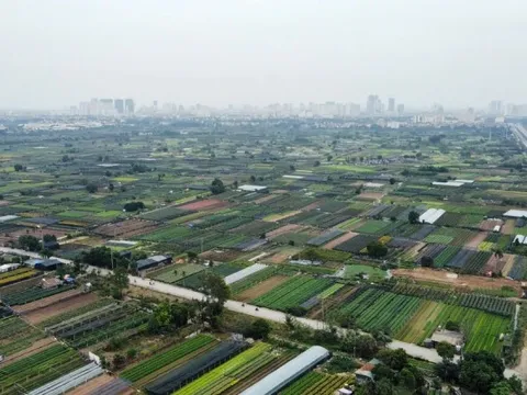 Dự án khu công nghệ cao sinh học hơn 1 tỷ đô được giao đất