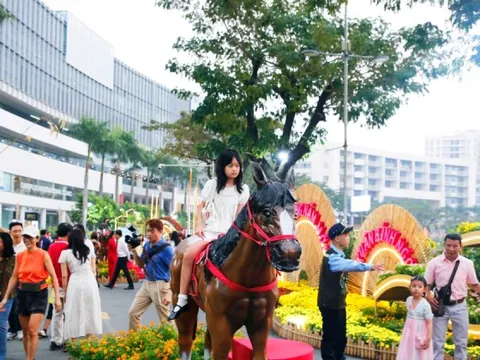 Khám phá đường hoa 'khu nhà giàu' ở TPHCM