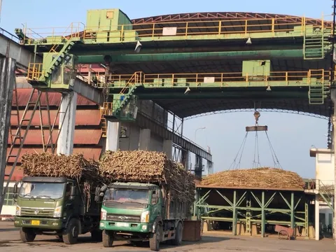 Hai doanh nghiệp bị UBCKNN xử phạt vì không công bố thông tin