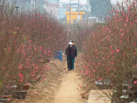 Dự báo thời tiết ngày 27 Tết: Người dân cần chú ý điều gì?