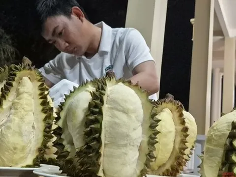 Cú lội ngược dòng của sầu riêng Việt
