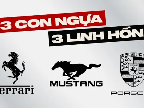 Cùng là ngựa, vì sao logo Ferrari chồm lên, Mustang lao đi, Porsche đứng vững?