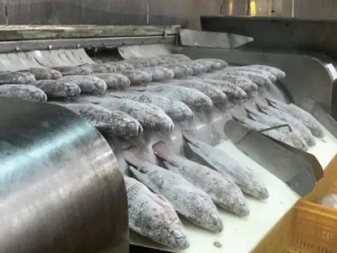 Kho báu dưới nước của Việt Nam 'hớp hồn' Mỹ, Brazil: thu về gần 100 triệu USD, một DN xuất khẩu có lợi nhuận tăng gấp 21 lần