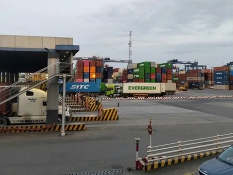 Chủ động thích ứng với chính sách thuế mới