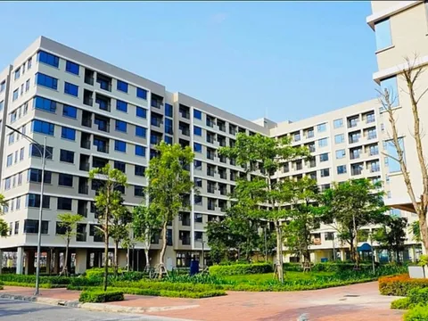 Được ưu tiên mua nhà ở xã hội khi bị thu hồi đất vì mục đích quốc phòng, an ninh