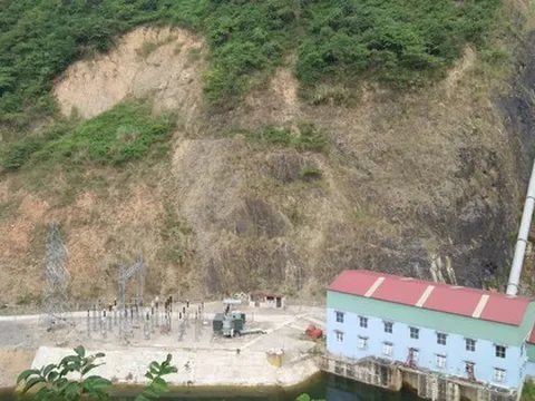 Doanh nghiệp của Chủ tịch Trương Đình Lam báo lãi ròng giảm sâu trong năm 2025