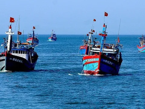 Sớm quản lý tàu cá, ngư dân trên VNeID để giám sát khai thác thủy sản