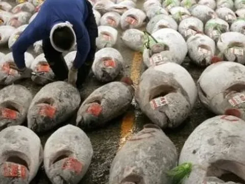 Việt Nam đón tin vui từ Mỹ