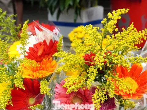 Dậy từ tờ mờ sáng đi mua loại hoa chỉ nghe tên đã nghĩ đến... tiền