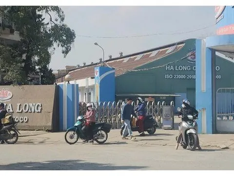 Công ty CP Đồ hộp Hạ Long vẫn dừng hoạt động sản xuất