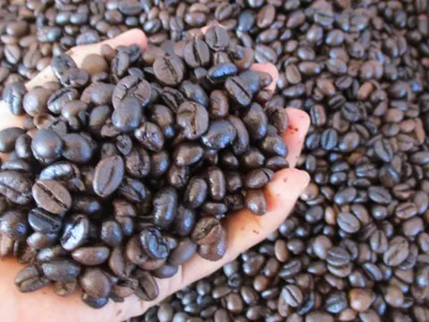 Giá cà phê hôm nay 6-3: Tăng tiếp, giá cà phê xuất khẩu vẫn hơn 4.000 USD/tấn