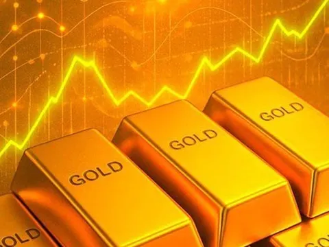 Nguồn gốc của gần 30kg vàng tinh khiết vừa được tỉnh Hà Tĩnh rao bán có từ đâu?