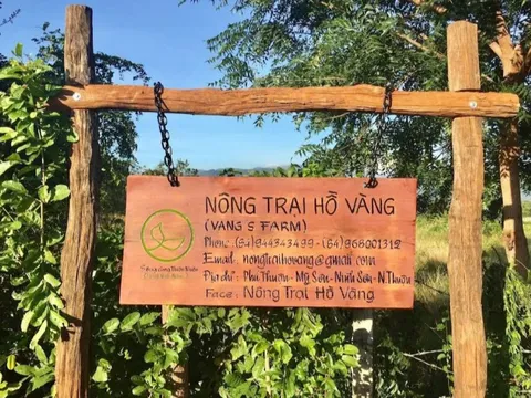 Xác minh hoạt động tôn giáo tại ‘nông trại Hồ Vàng’ sau vụ ông Thích Nhuận Đạt
