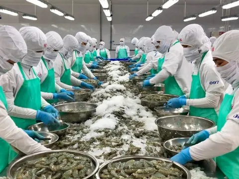 Xuất khẩu tôm khởi sắc đầu năm