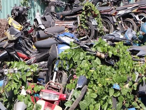 Tìm chủ 13 xe máy "bị bỏ rơi" ở TP HCM