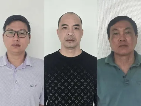 Ba giám đốc trốn thuế hơn 1,8 tỷ đồng ở Tuyên Quang