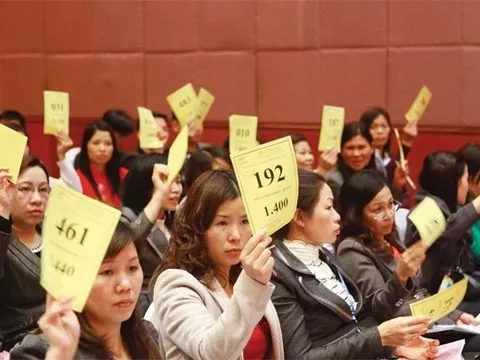 Nhiều doanh nghiệp công bố tài liệu đại hội cổ đông cho... có