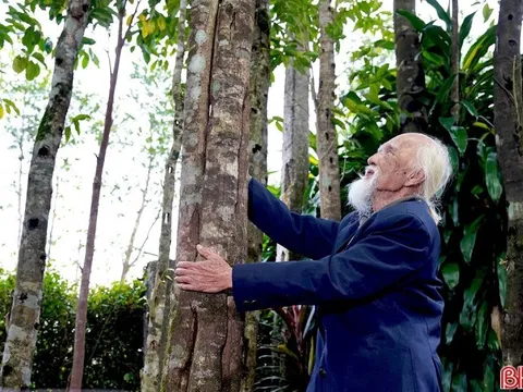 Cụ ông 98 tuổi biến khối gỗ mục làm củi thành "vàng", kiếm 200 tỷ mỗi năm cho vùng rốn lũ miền Trung