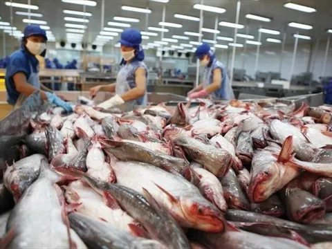 Một doanh nghiệp sàn HOSE dự kiến chi tới 945 tỷ đồng mua lại cổ phiếu quỹ