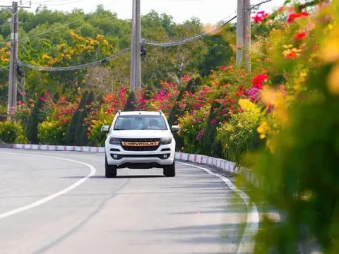 Ngắm cung đường tuyệt đẹp xuyên rừng ngập mặn ở TP.HCM