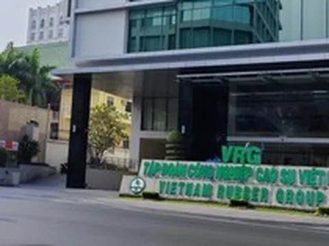 Vụ án tại VRG: Triệu tập 93 doanh nghiệp, ngân hàng, cá nhân liên quan